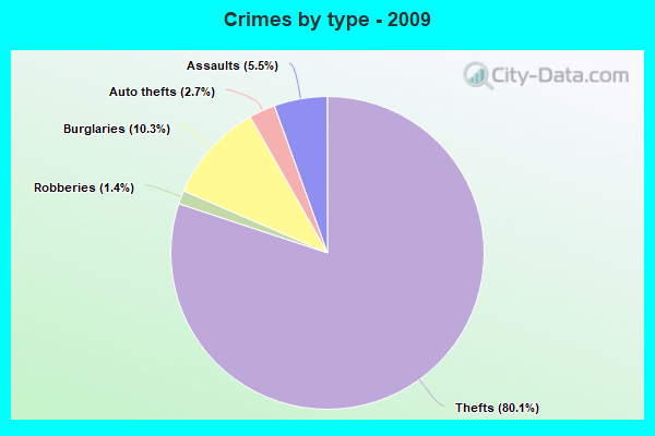 Crimes by type - 2009