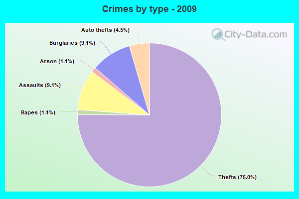 Crimes by type - 2009