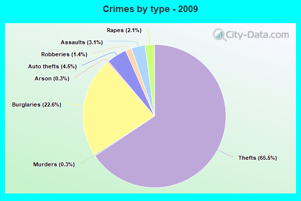 Crimes by type - 2009