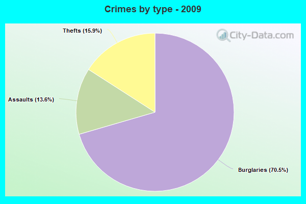 Crimes by type - 2009