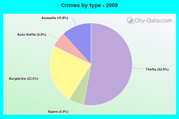 Crimes by type - 2009