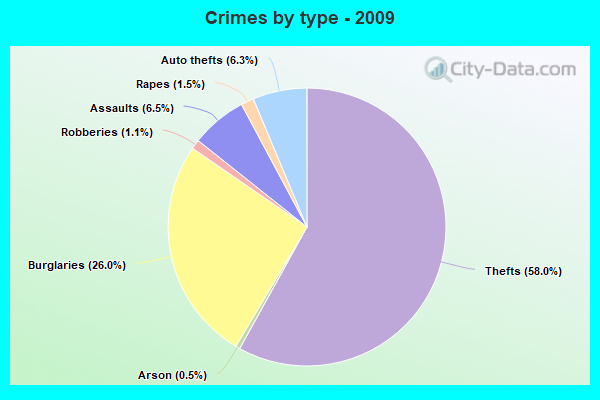 Crimes by type - 2009