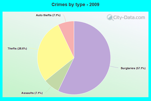 Crimes by type - 2009