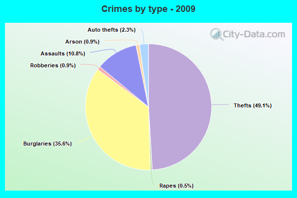 Crimes by type - 2009