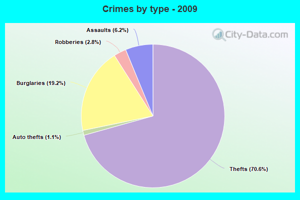 Crimes by type - 2009