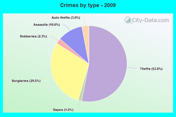 Crimes by type - 2009