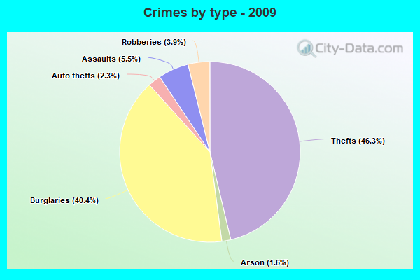 Crimes by type - 2009