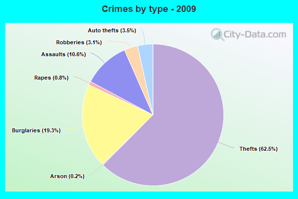 Crimes by type - 2009