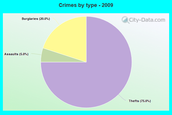 Crimes by type - 2009