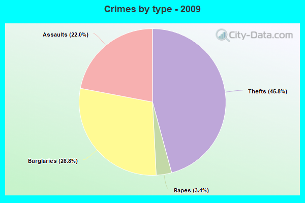 Crimes by type - 2009