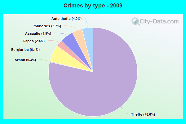 Crimes by type - 2009