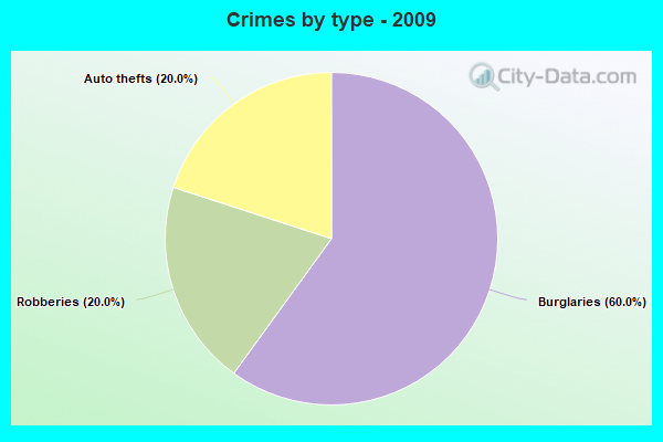 Crimes by type - 2009