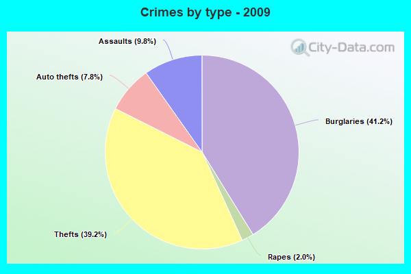 Crimes by type - 2009