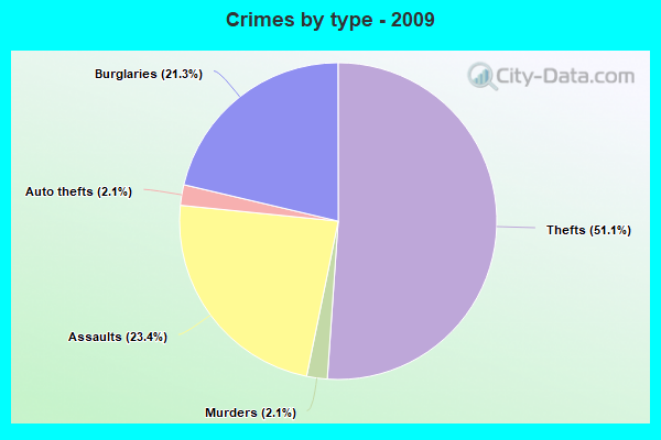 Crimes by type - 2009