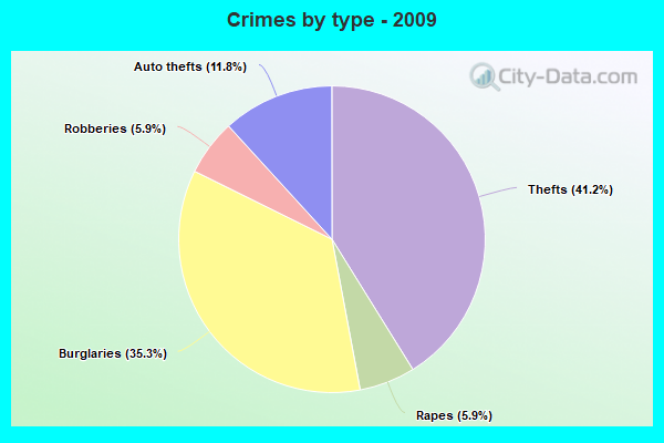 Crimes by type - 2009