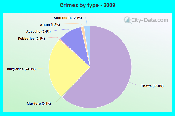 Crimes by type - 2009