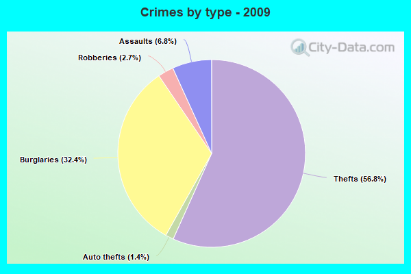 Crimes by type - 2009