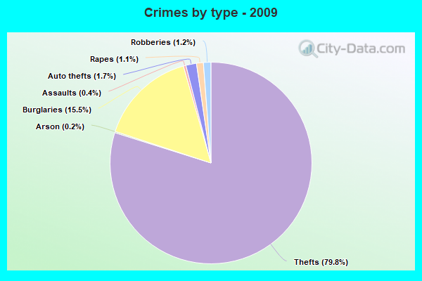 Crimes by type - 2009