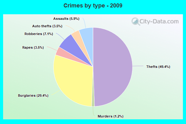 Crimes by type - 2009