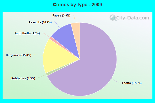 Crimes by type - 2009