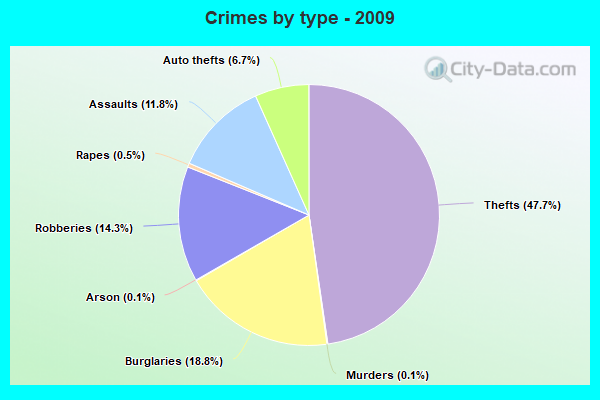 Crimes by type - 2009