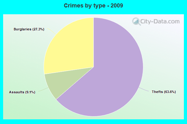 Crimes by type - 2009