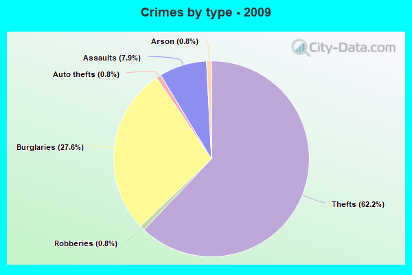 Crimes by type - 2009