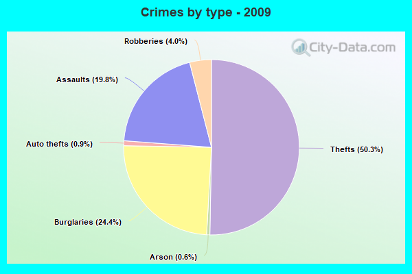 Crimes by type - 2009