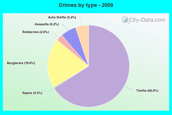 Crimes by type - 2009