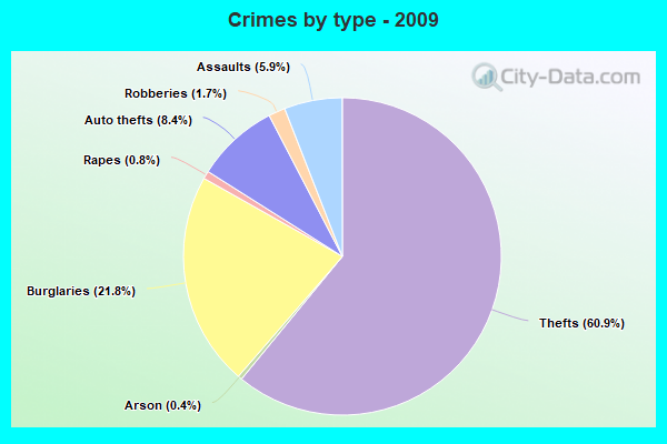 Crimes by type - 2009