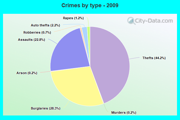 Crimes by type - 2009