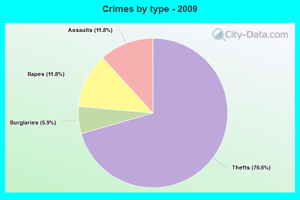 Crimes by type - 2009