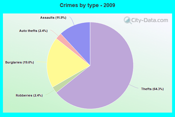 Crimes by type - 2009