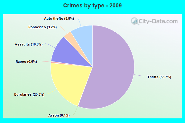 Crimes by type - 2009