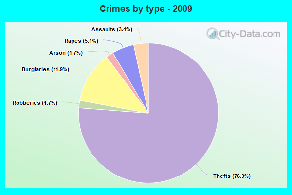 Crimes by type - 2009