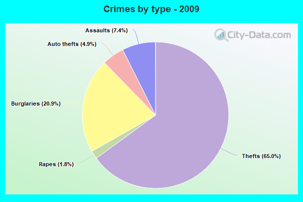 Crimes by type - 2009