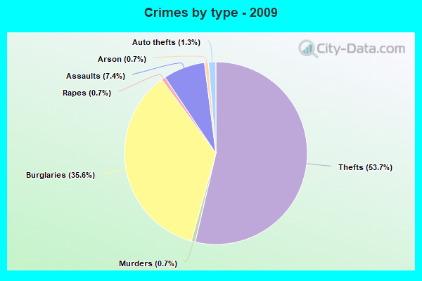 Crimes by type - 2009