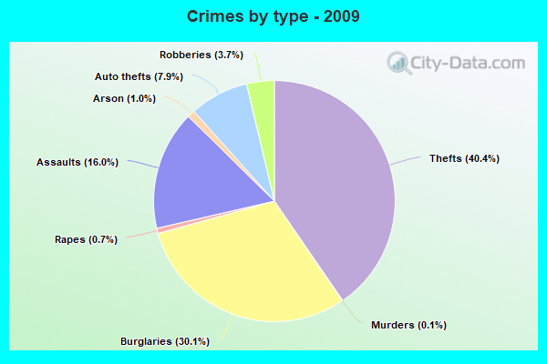 Crimes by type - 2009