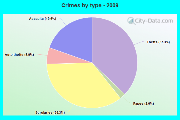 Crimes by type - 2009