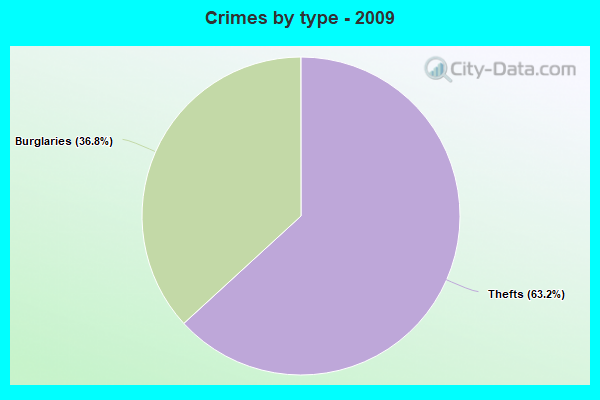 Crimes by type - 2009