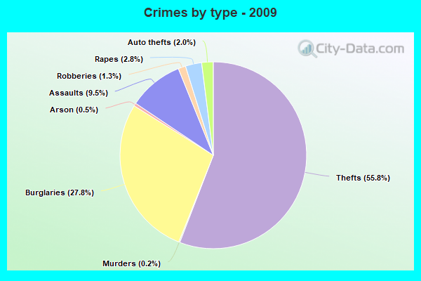 Crimes by type - 2009