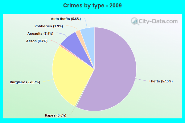 Crimes by type - 2009