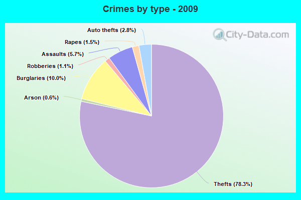 Crimes by type - 2009