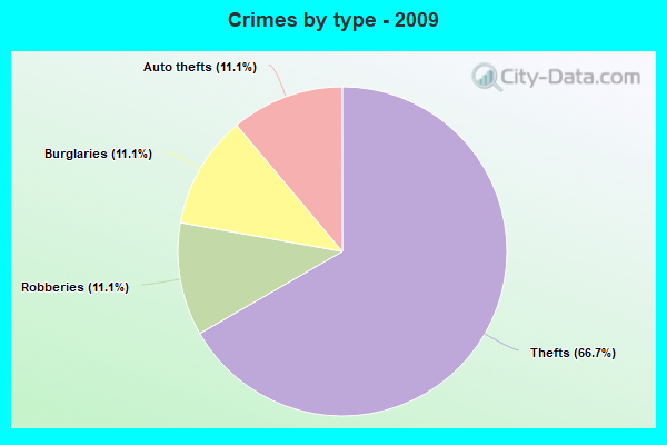 Crimes by type - 2009