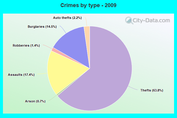 Crimes by type - 2009