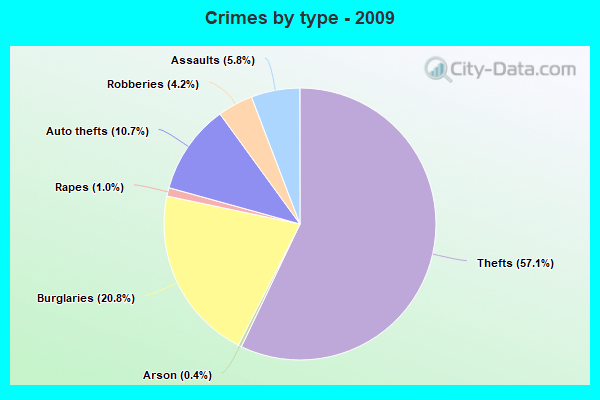 Crimes by type - 2009