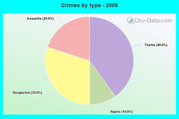 Crimes by type - 2009