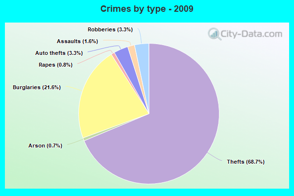 Crimes by type - 2009