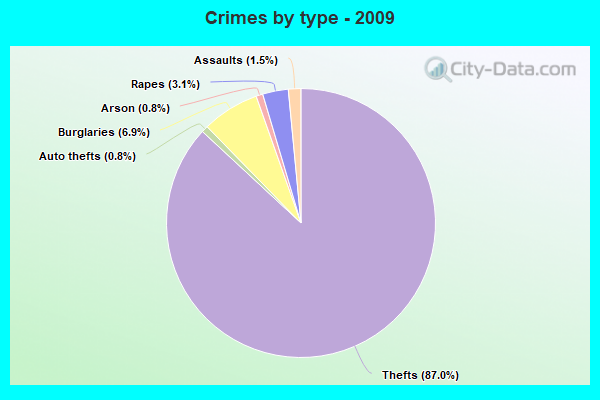 Crimes by type - 2009