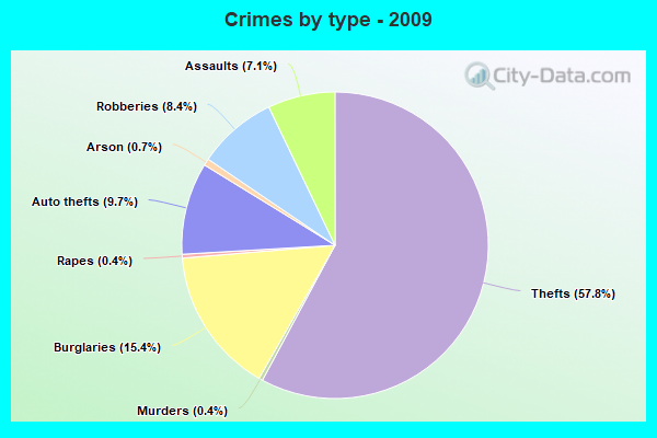 Crimes by type - 2009